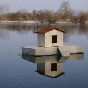 Ilot + nichoir simple pour canards