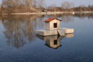 Ilot et nichoir simple pour canards