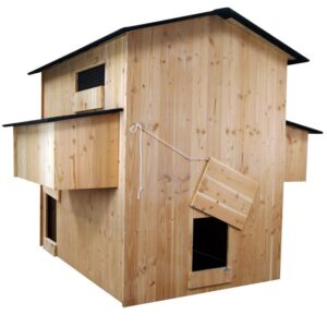 Poulailler 25 poules Palace en bois douglas